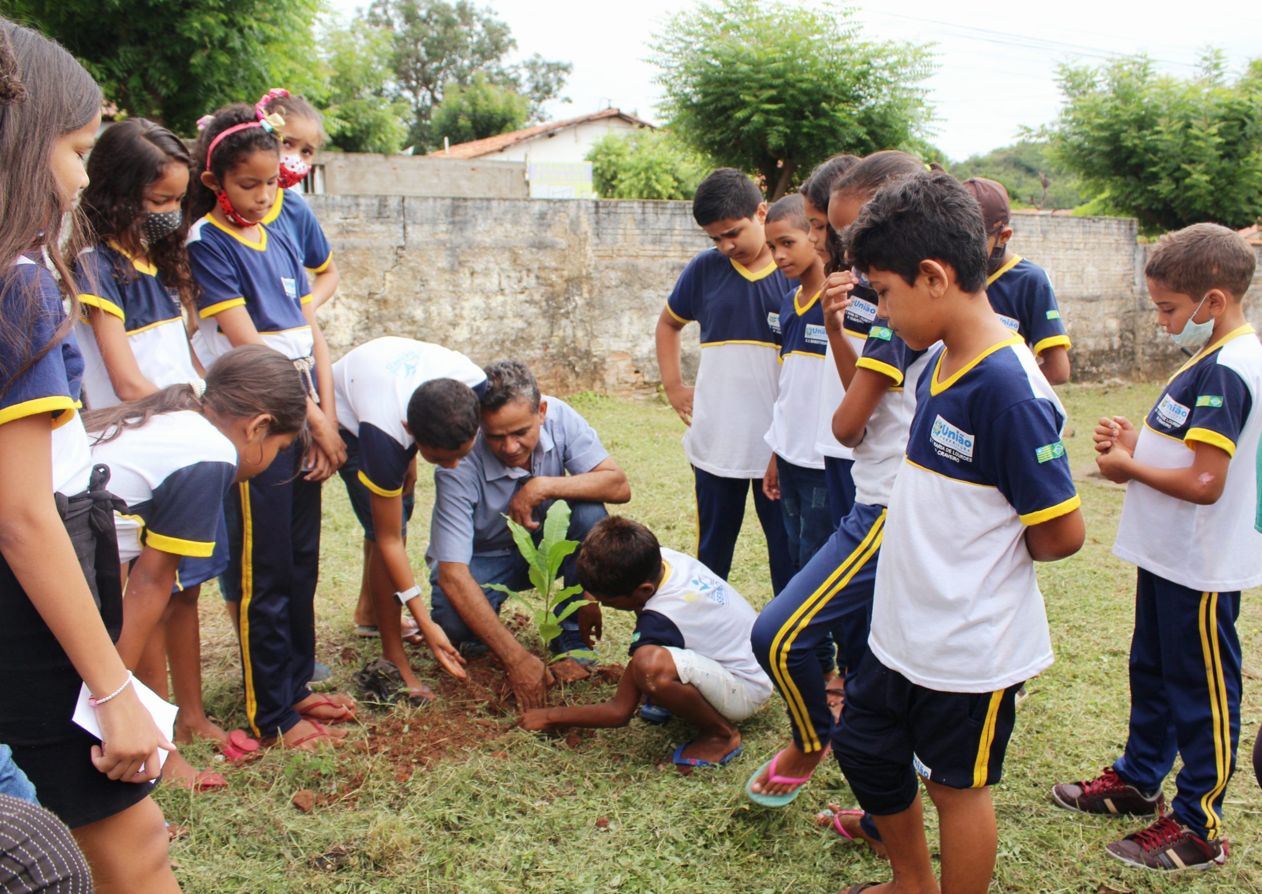 Semana do Meio Ambiente é celebrada com doação e plantação de mudas em escolas de União